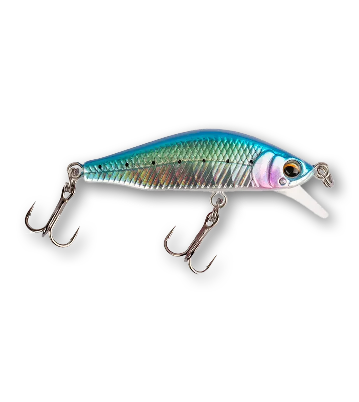 MF-YUZUKI-baby-sardine-FB-Shop